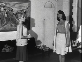 the sexploiters (1965)